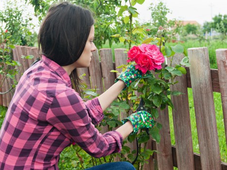 Reliable Tree Surgeons Chigwell payment system with flexible secure methods