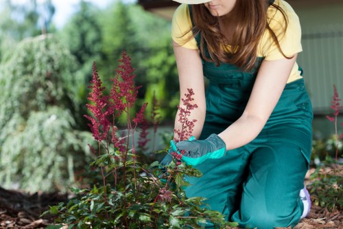 Professional hedge cutting for a Chigwell garden boundary