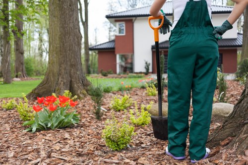 Close assessment of tree trunk and roots during a property inspection