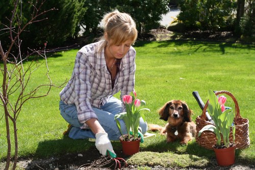 Closing a tree surgery complaint with documentation